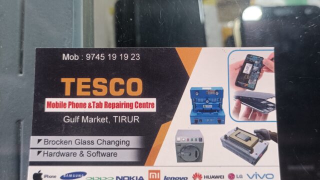 17462603089012732527173979183965